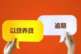 广州贷款清欠服务